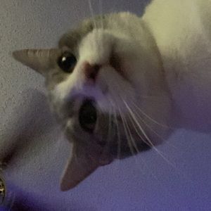 Meet your Posher, Alex